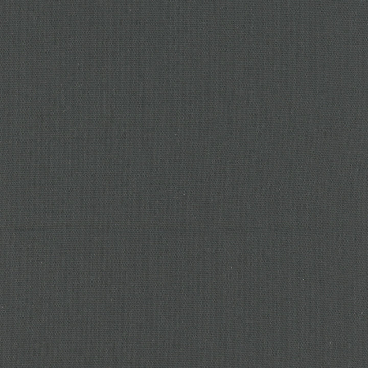 Daydreamer Mascara by Carole Designer Fabric Daydreaming 100% Cotton- Soil Release USA Passes 30,000 Double Rubs Wyzenbeek Horizontal: 0 and Vertical: 0 54 - Swanky Fabrics -