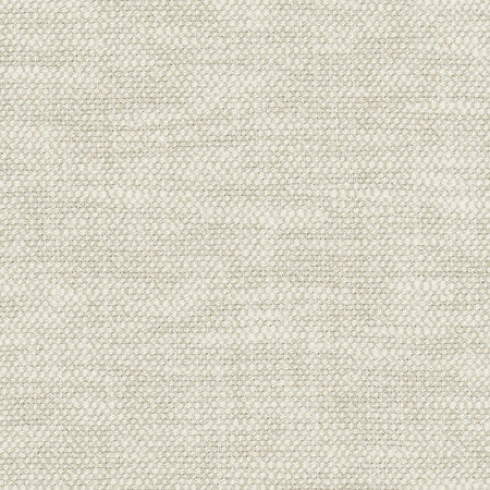 Overacting Alabaster by Carole Designer Fabric Opal 72% Polyester, 28% Cotton India None 55" - Swanky Fabrics -