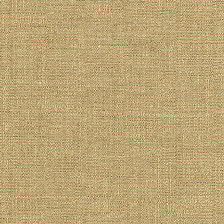 Cortland Butterscotch by Carole Designer Fabric Gala 100% Polyester India 30,000 WYZENBEEK DOUBLE RUBS None 54.75" - Swanky Fabrics -