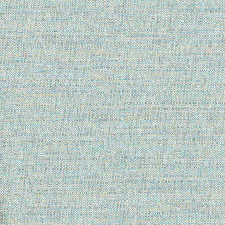Rock Wall Caribe by Carole Designer Fabric Celadon 83% Polyester, 12% Cotton, 5% Rayon India N/A Horizontal: 0 and Vertical: 0 55 - Swanky Fabrics -