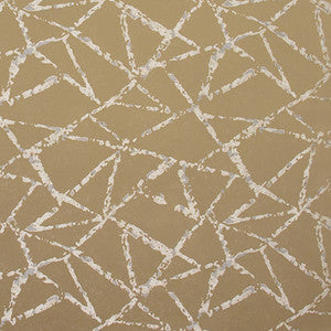 Carole Fabric Into Focus Coffee
