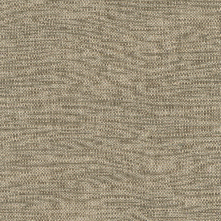 Athlete Taupe by Carole Designer Fabric Chestnut 60% Cotton, 40% Polyester India Passes 50,000 Double Rubs Wyzenbeek Horizontal: 0 and Vertical: 0 55 - Swanky Fabrics -