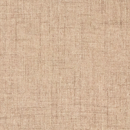 Gusto Musk by Carole Designer Fabric Power Play 100% Polyester N/A None 55" - Swanky Fabrics -