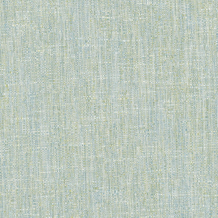 Hard Knocks Aqua by Carole Designer Fabric Celadon 69% Polyester, 31% Cotton India None 55.5" - Swanky Fabrics -