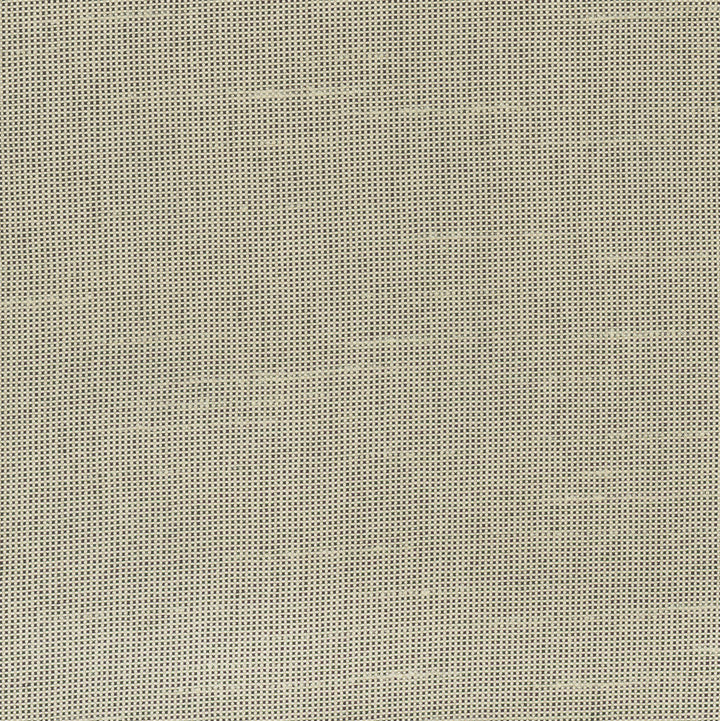 Fleeting Sand by Carole Designer Fabric Royale 100% Polyester India Passes 50,000 Double Rubs Wyzenbeek Horizontal: 0 and Vertical: 0 54 - Swanky Fabrics -