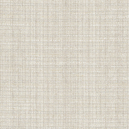 Rock Wall Fog by Carole Designer Fabric Opal 83% Polyester, 12% Cotton, 5% Rayon India N/A Horizontal: None and Vertical: None 55" - Swanky Fabrics -