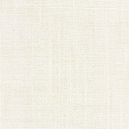 El Sol Ivory by Carole Designer Fabric Head Start 100% Polyester India None 55" - Swanky Fabrics -