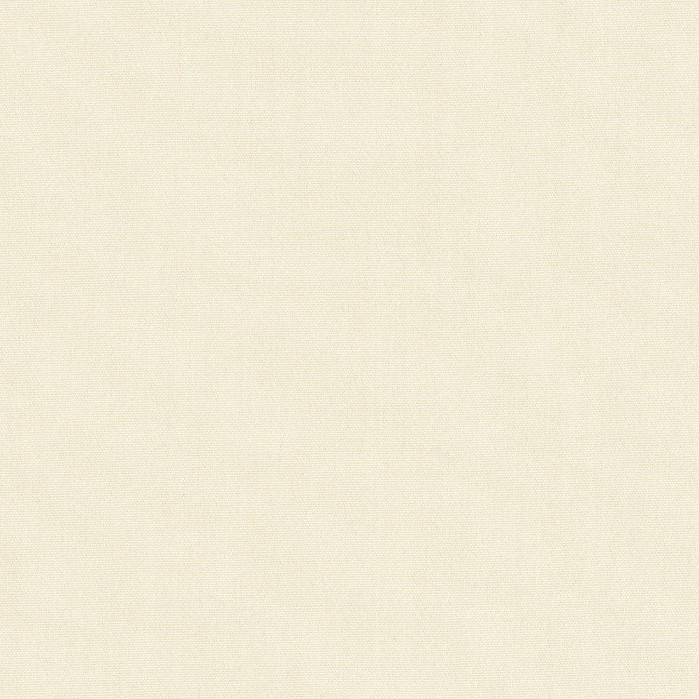 Tempt Cashmere by Carole Designer Fabric Royale 100% IFR Polyester India Passes 45,000 Double Rubs Wyzenbeek Horizontal: 0 and Vertical: 0 54 - Swanky Fabrics -