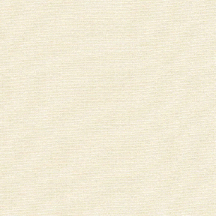 Tempt Cashmere by Carole Designer Fabric Royale 100% IFR Polyester India Passes 45,000 Double Rubs Wyzenbeek Horizontal: 0 and Vertical: 0 54 - Swanky Fabrics -