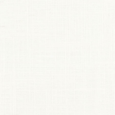 Sheriff Powder by Carole Designer Fabric Arlyn,Dove Wing 36% Cotton, 30% Polyester, 17% Viscose, 17% Linen INDIA None 54" - Swanky Fabrics -