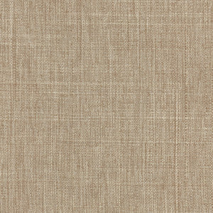 Carole Fabric Intention Sahara