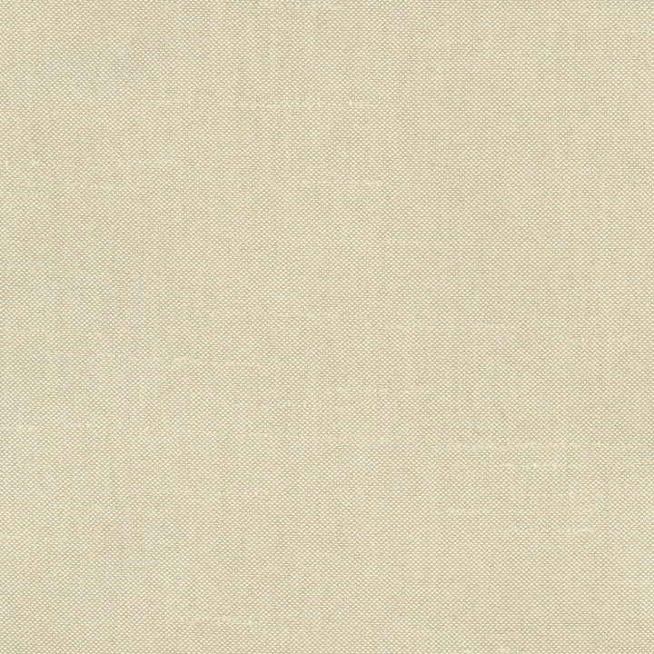 Fleeting Plantain by Carole Designer Fabric Royale 100% Polyester India Passes 50,000 Double Rubs Wyzenbeek Horizontal: 0 and Vertical: 0 54 - Swanky Fabrics -