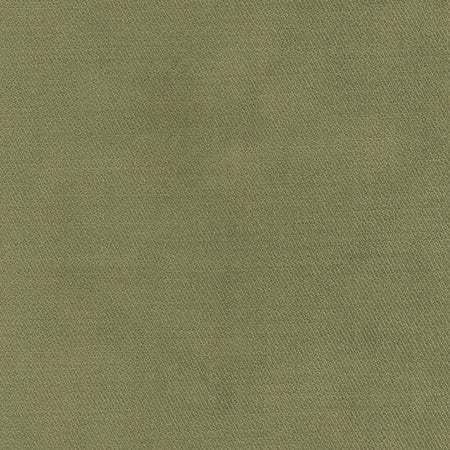 <p>Regal Touch Leaf by Carole Designer Fabric</p><p><strong>Required Minimum Quantity Purchase: 2 yards</strong></p><p>Book: Warm Embrace</p><p>Content: 100% Polyester</p><p>Origin: </p><p>Performance: 15,000 Wyzenbeek Double Rubs</p><p>Repeat: None</p><p>Width: 55""</p>