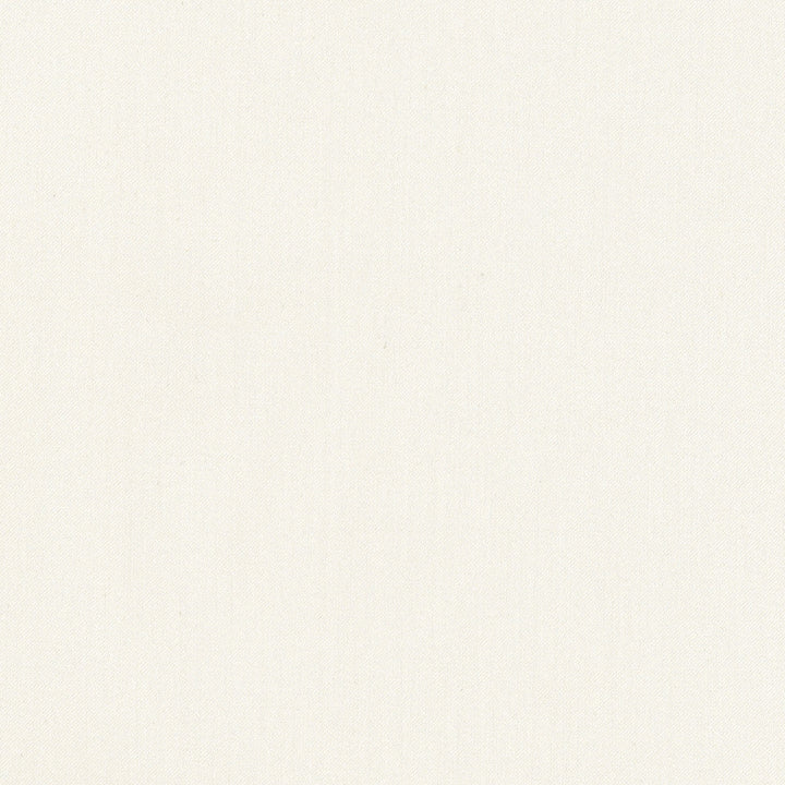 Comfort Alabaster by Carole Designer Fabric Daydreaming 100% Cotton India Passes 21,000 Double Rubs Wyzenbeek Horizontal: 0 and Vertical: 0 54 - Swanky Fabrics -