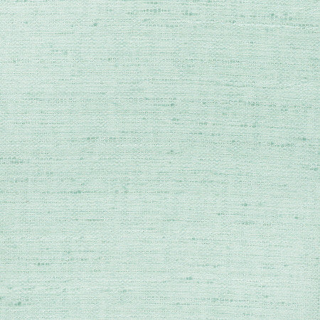 Foreseeable Mint by Carole Designer Fabric Celadon 100% Polyester India None 54" - Swanky Fabrics -