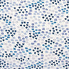 Carole Fabric Kicked Stones Indigo