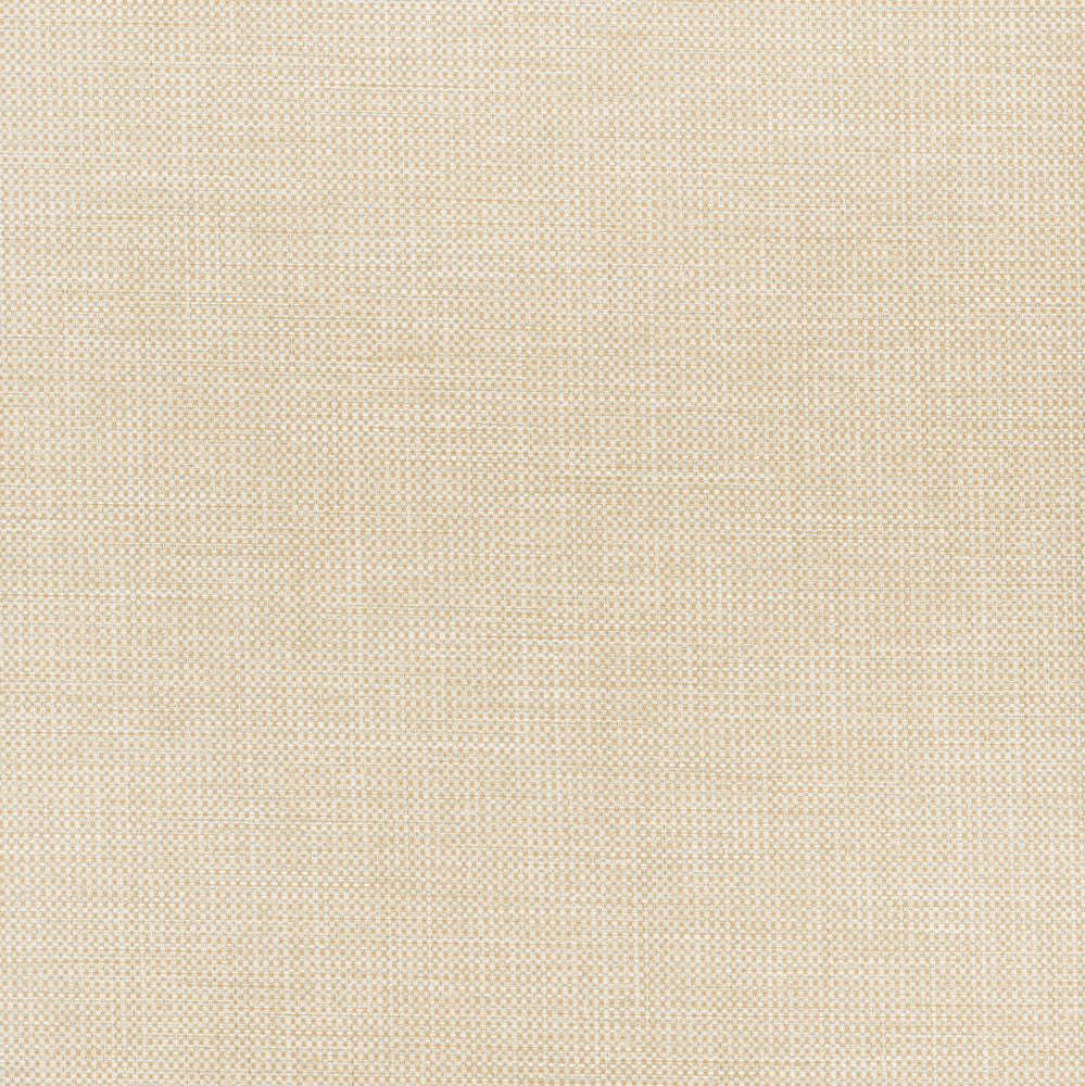 Glisten Blackout Natural by Carole Designer Fabric For The Window 100% Polyester- 3 Pass Fr Acrylic Backing Blackout India N/A Horizontal: 0 and Vertical: 0 54 - Swanky Fabrics -