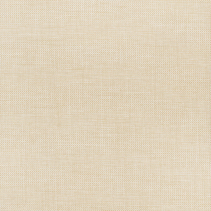Glisten Blackout Natural by Carole Designer Fabric For The Window 100% Polyester- 3 Pass Fr Acrylic Backing Blackout India N/A Horizontal: 0 and Vertical: 0 54 - Swanky Fabrics -