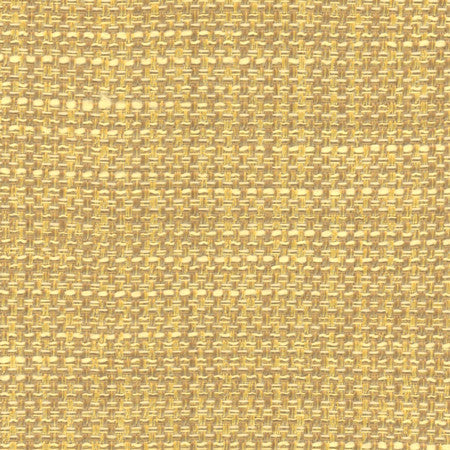 Endurance Sunglow by Carole Designer Fabric Head Start 100% Polyester IFR Hybrid India None 54" - Swanky Fabrics -