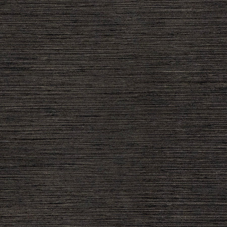 Optimism Charcoal by Carole Designer Fabric Synchrony,Power Play 100% IFR Polyester 5,000 Wyzenbeek Double Rubs None 54" - Swanky Fabrics -