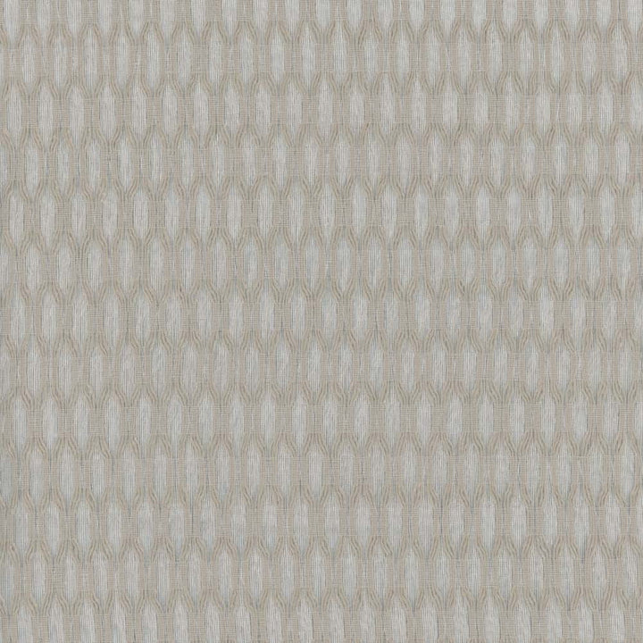 Light It Up Linen by Carole Designer Fabric Sheer Divine 100% Polyester Turkey N/A Horizontal: 5 and Vertical: 125 118 - Swanky Fabrics -