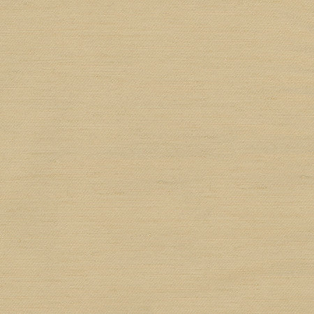 Rumi Camel by Carole Designer Fabric Gala 100% Polyester India N/A None 54" - Swanky Fabrics -