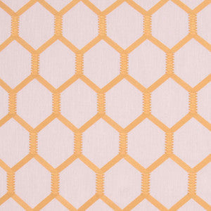Carole Fabric Shock Value Coin