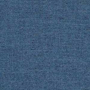 Carole Fabric Committee Meeting Denim