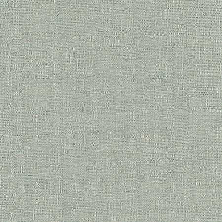 Cortland Aquamarine by Carole Designer Fabric Gala 100% Polyester India None 54.75" - Swanky Fabrics -