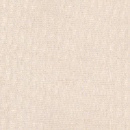 Fleeting Ballerina by Carole Designer Fabric Royale 100% Polyester India Passes 50,000 Double Rubs Wyzenbeek None 54" - Swanky Fabrics -