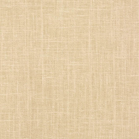 Duty Calls Sand by Carole Designer Fabric Toasted Almond 77% Polyester, 14% Cotton, 9% Linen INDIA N/A None 54" - Swanky Fabrics -