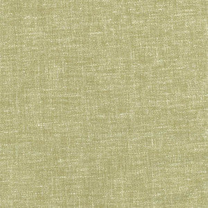 Carole Fabric Aspire To Fern