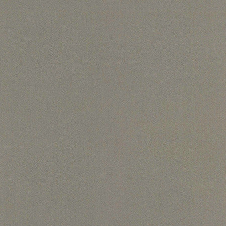 Comfort Shale by Carole Designer Fabric Daydreaming 100% Cotton India Passes 21,000 Double Rubs Wyzenbeek Horizontal: None and Vertical: None 54" - Swanky Fabrics -