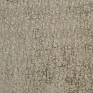 Carole Fabric Sleeping Bear Dune