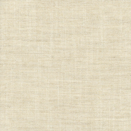 Hand Holder Light Oatmeal by Carole Designer Fabric Alliance 100% Polyester India N/A None 54"" - Swanky Fabrics -