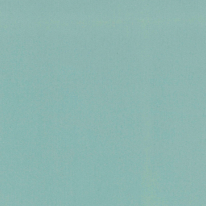 Comfort Azure by Carole Designer Fabric Daydreaming 100% Cotton India Passes 21,000 Double Rubs Wyzenbeek Horizontal: 0 and Vertical: 0 54 - Swanky Fabrics -