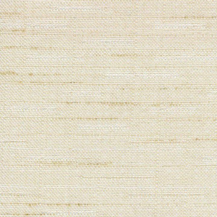 Banksville Beach by Carole Designer Fabric Bigelow 100% Polyester Mexico Passes 18,000 Double Rubs Wyzenbeek Horizontal: 0 and Vertical: 0 54 - Swanky Fabrics -