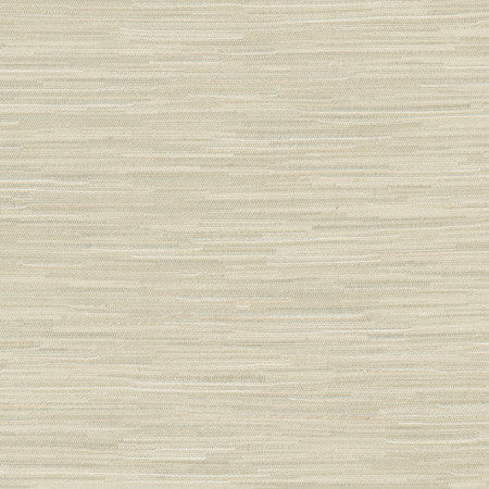 Suntan Raffia by Carole Designer Fabric Excursion 95% Polyester, 5% Cotton India 8,000 Wyzenbeek Double Rubs Horizontal: None and Vertical: None 56.5" - Swanky Fabrics -