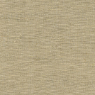 Lydia Mineral by Carole Designer Fabric Lydia,Lydia II 100% Polyester Fr India None 54" - Swanky Fabrics -