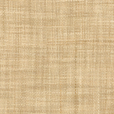 El Sol Tussah by Carole Designer Fabric Head Start 100% Polyester India None 55" - Swanky Fabrics -