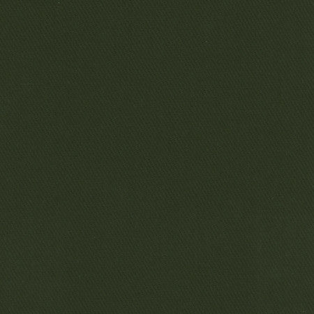 Kirkland Deep Green by Carole Designer Fabric Celadon 100% Cotton Brazil Passes 30,000 Double Rubs Wyzenbeek Horizontal: None and Vertical: None 64" - Swanky Fabrics -