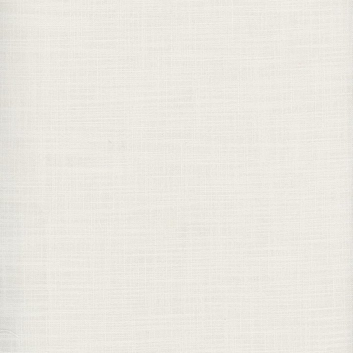 Fundamental Ivory by Carole Designer Fabric Fundamental 100% Polyester Turkey Passes 20,000 Double Rubs Wyzenbeek Horizontal: 0 and Vertical: 0 54 - Swanky Fabrics -