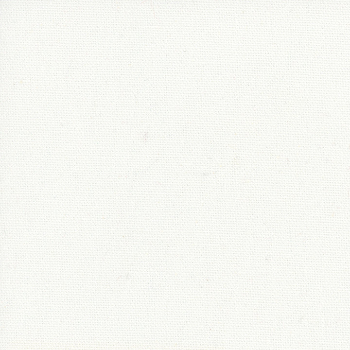 Dreamy Optic White by Carole Designer Fabric Daydreaming 100% Cotton- Soil Release USA Passes 30,000 Double Rubs Wyzenbeek Horizontal: 0 and Vertical: 0 54 - Swanky Fabrics -