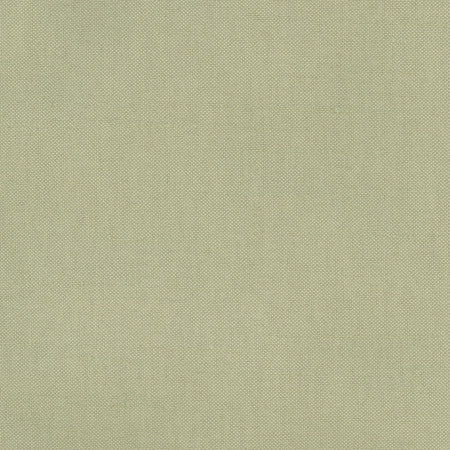 Fleeting Basil by Carole Designer Fabric Royale 100% Polyester India Passes 50,000 Double Rubs Wyzenbeek None 54" - Swanky Fabrics -