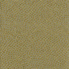 Carole Fabric Stars Above Lichen