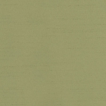 Bane Meadow by Carole Designer Fabric With Grace 100% Polyester Hybrid FR Mexico 30,000 WYZENBEEK DOUBLE RUBS None 54" - Swanky Fabrics -