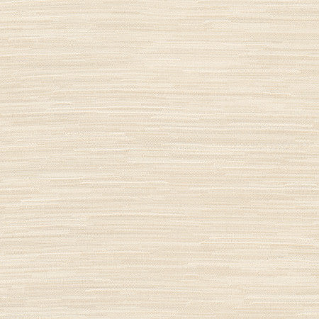 Suntan Sandstone by Carole Designer Fabric Excursion 95% Polyester, 5% Cotton India 8,000 Wyzenbeek Double Rubs None 56.5" - Swanky Fabrics -