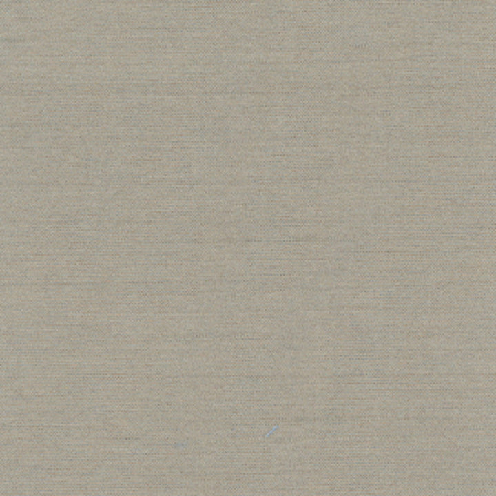 Northwind Smoke by Carole Designer Fabric New Northwind Iv 100% Polyester India Passes 9,000 Double Rubs Wyzenbeek Horizontal: 0 and Vertical: 0 54 - Swanky Fabrics -