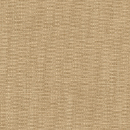 Brookings Sand by Carole Designer Fabric Enterprise 100% Polyester India 15,000 Wyzenbeek Double Rubs </p><p>Repeat: None 55" - Swanky Fabrics -