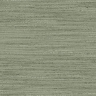 Discreet Silver Sage by Carole Designer Fabric Distinct Drapery,Delight 100% POLYESTER INDIA NONE 55" - Swanky Fabrics -